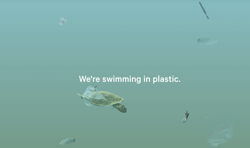 A Better Beginner's Guide to Going Plastic Free this July